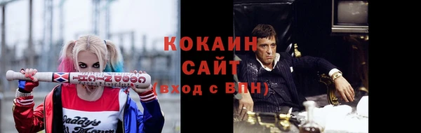 тгк Богданович