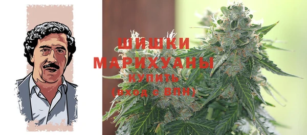 ГАЛЛЮЦИНОГЕННЫЕ ГРИБЫ Покров