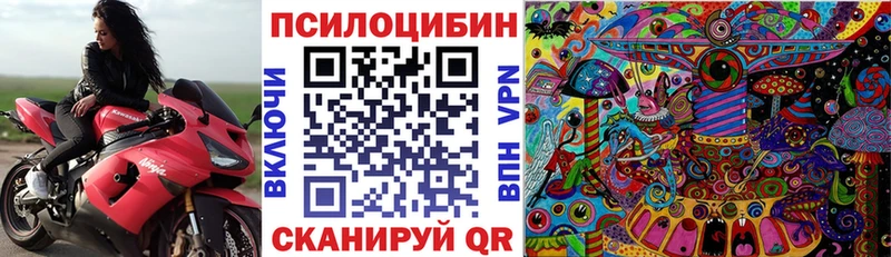 Псилоцибиновые грибы Psilocybe  Купить где  Барыш 